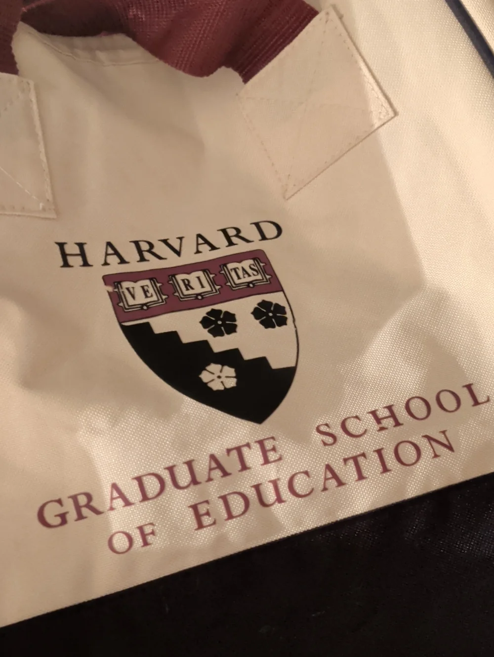 Harvard Combo- Hoodie And Bag